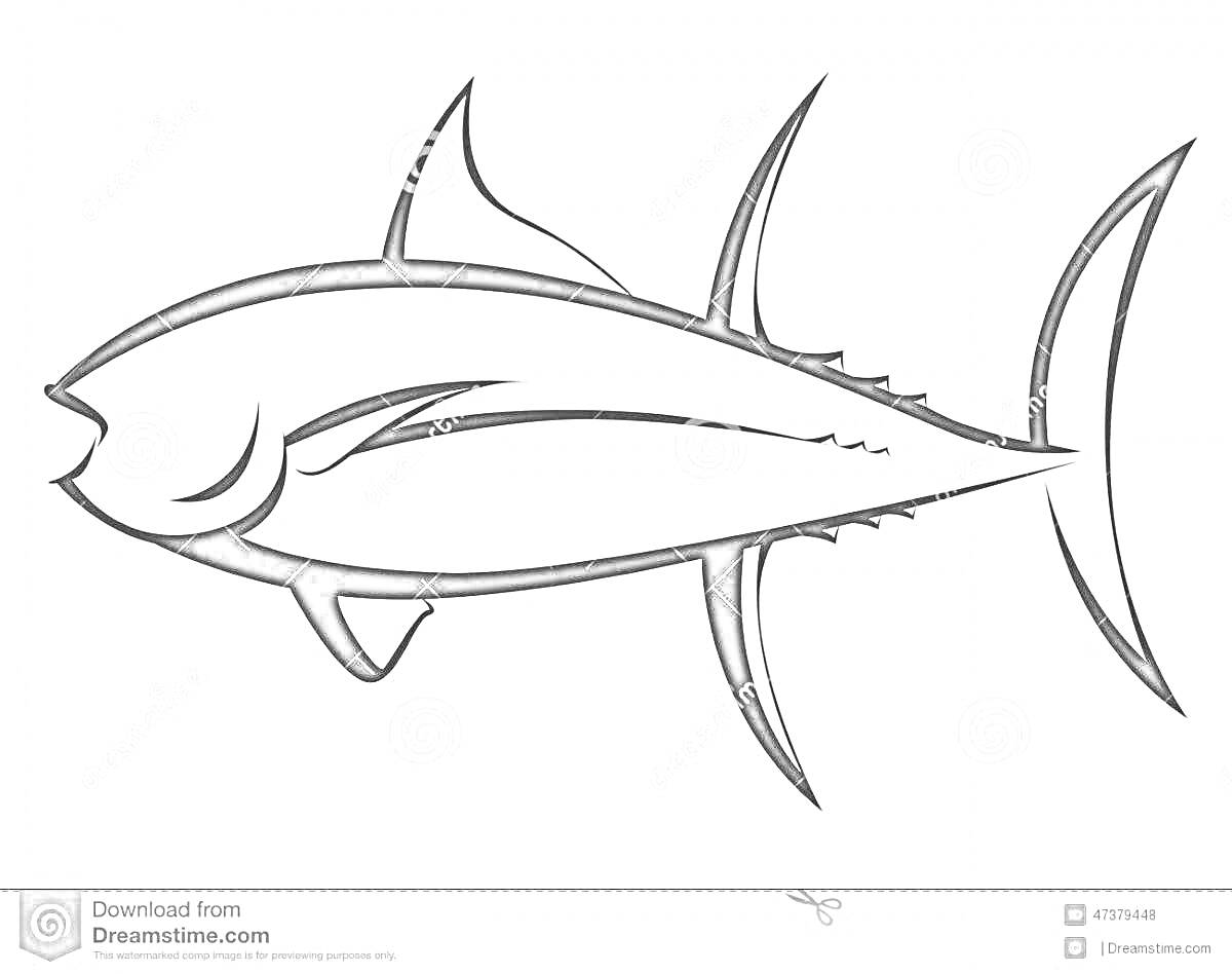 На раскраске изображено: Рыба, Тунец, Морские животные