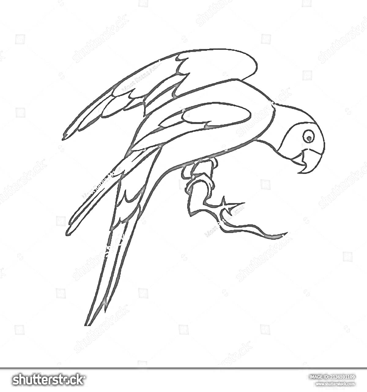 Раскраска Летящий попугай с изогнутым хвостом и крючковатым клювом