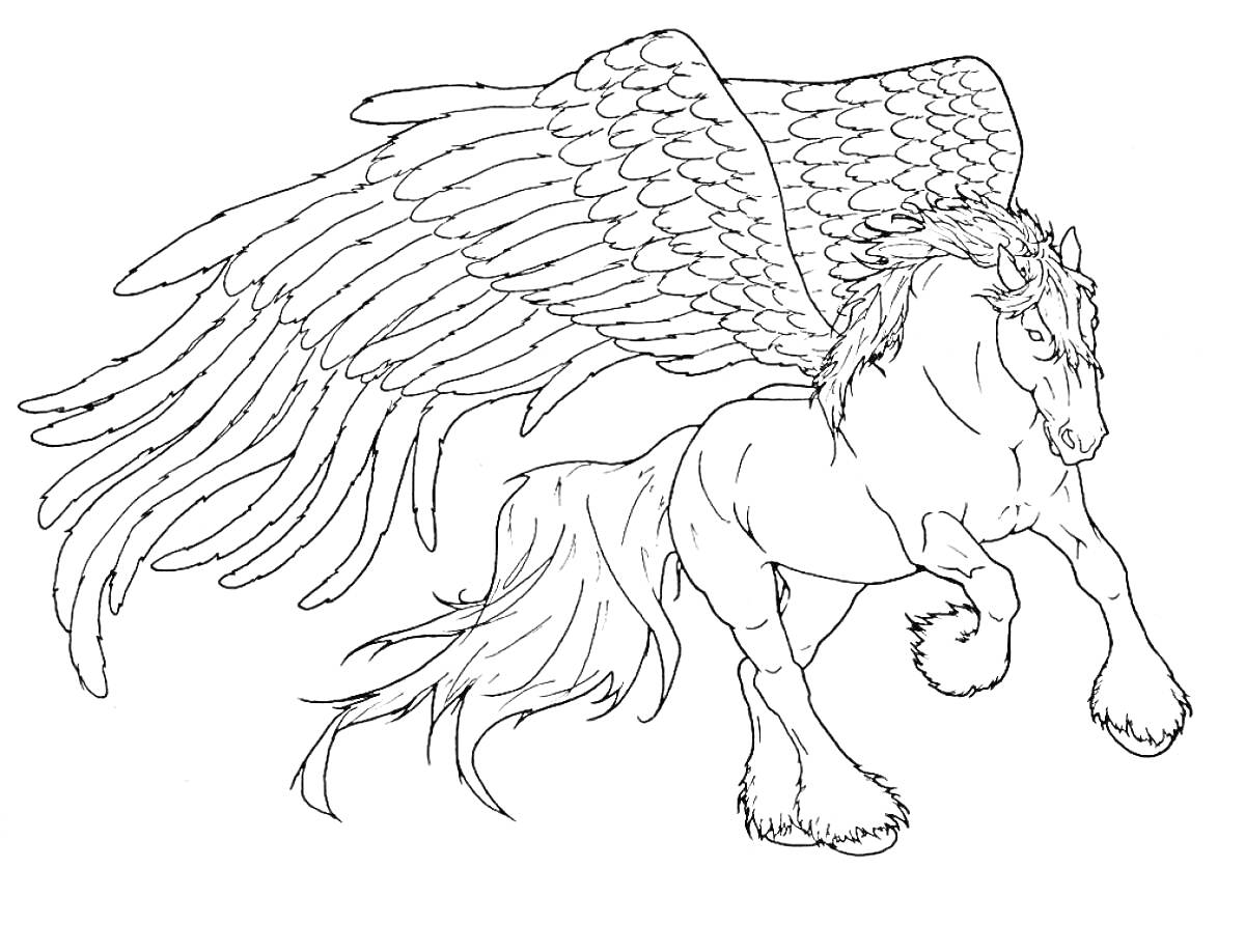 Раскраска Пегас с расправленными крыльями и развевающейся гривой