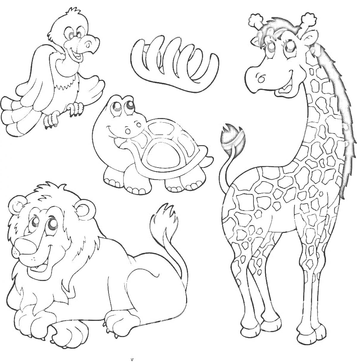 Раскраска Жираф, лев, черепаха, попугай и косточка в зоопарке