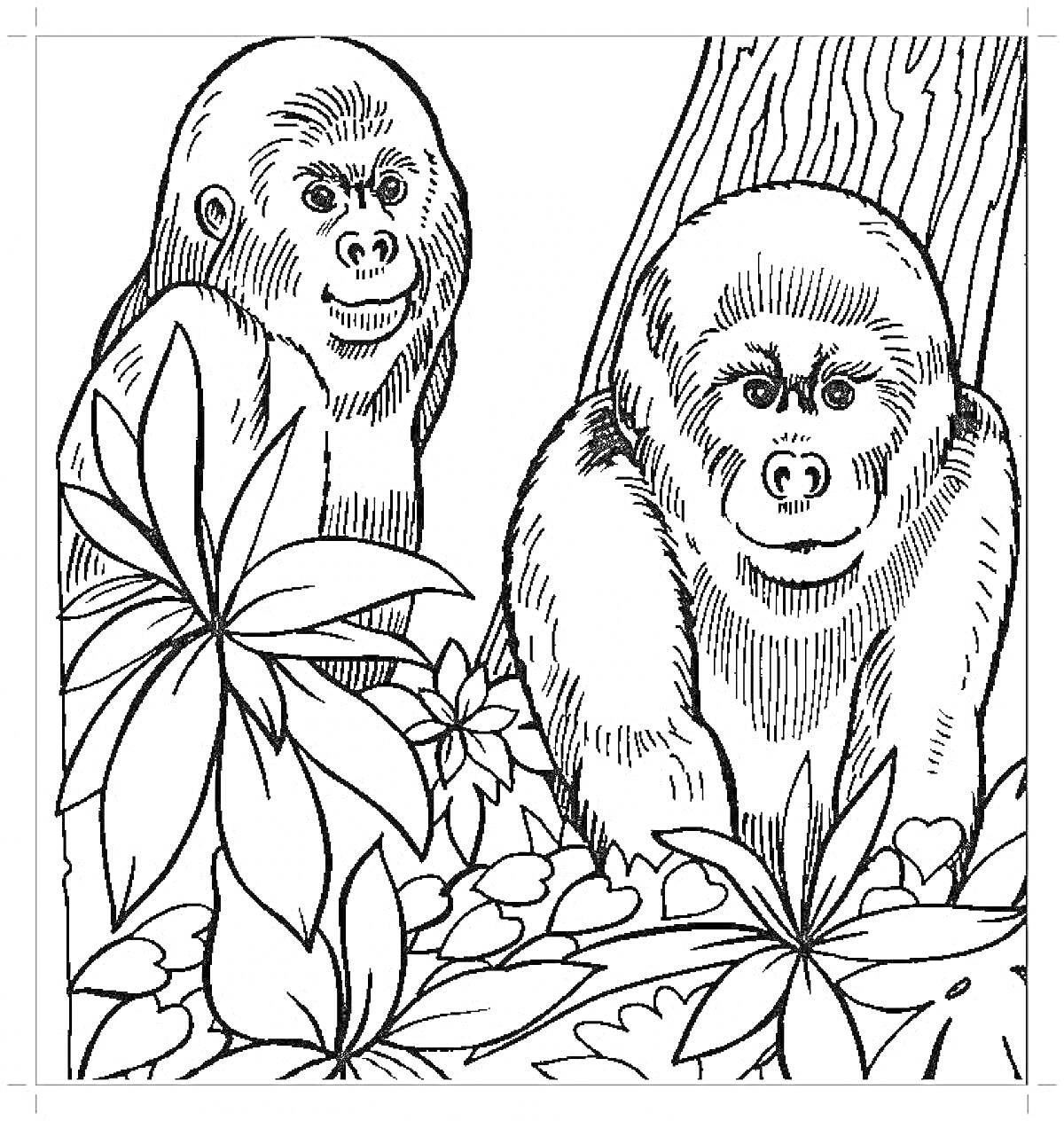 Раскраска Две гориллы в джунглях с растительностью и деревом