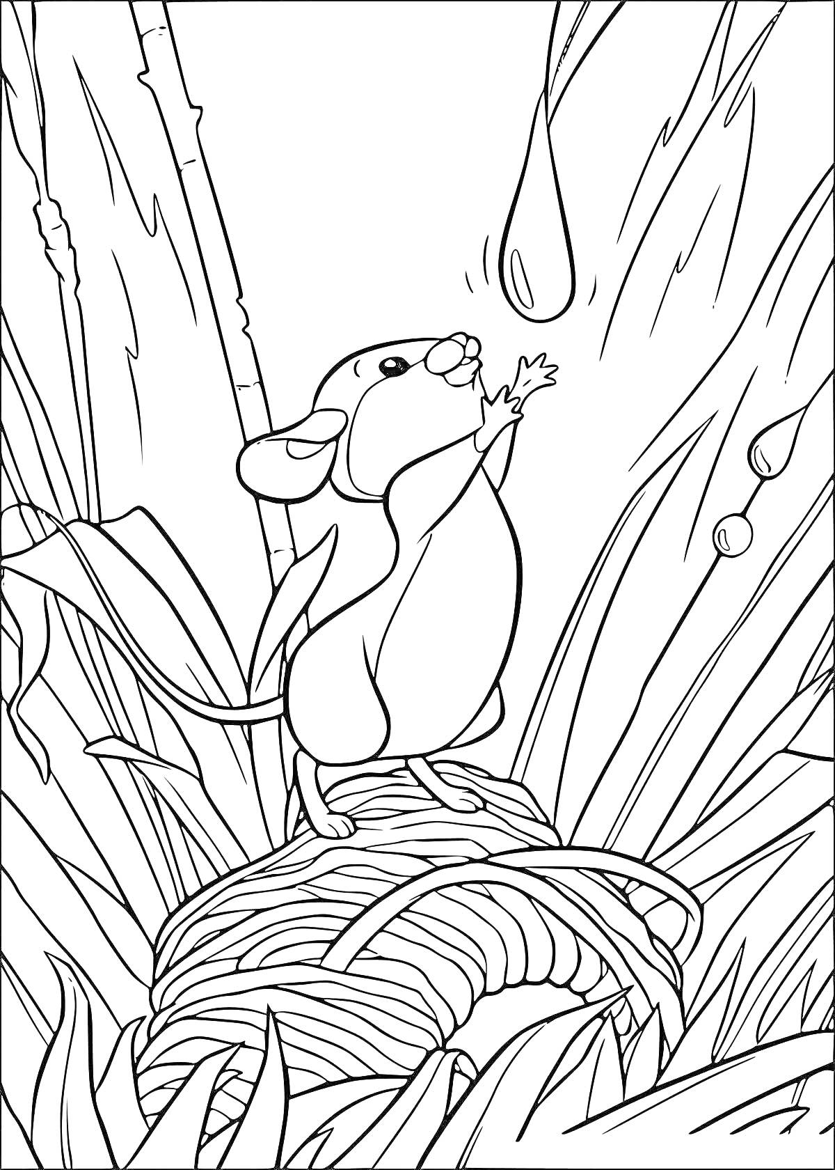 На раскраске изображено: Мышь, Вода, Гнездо, Трава, Природа, Животные