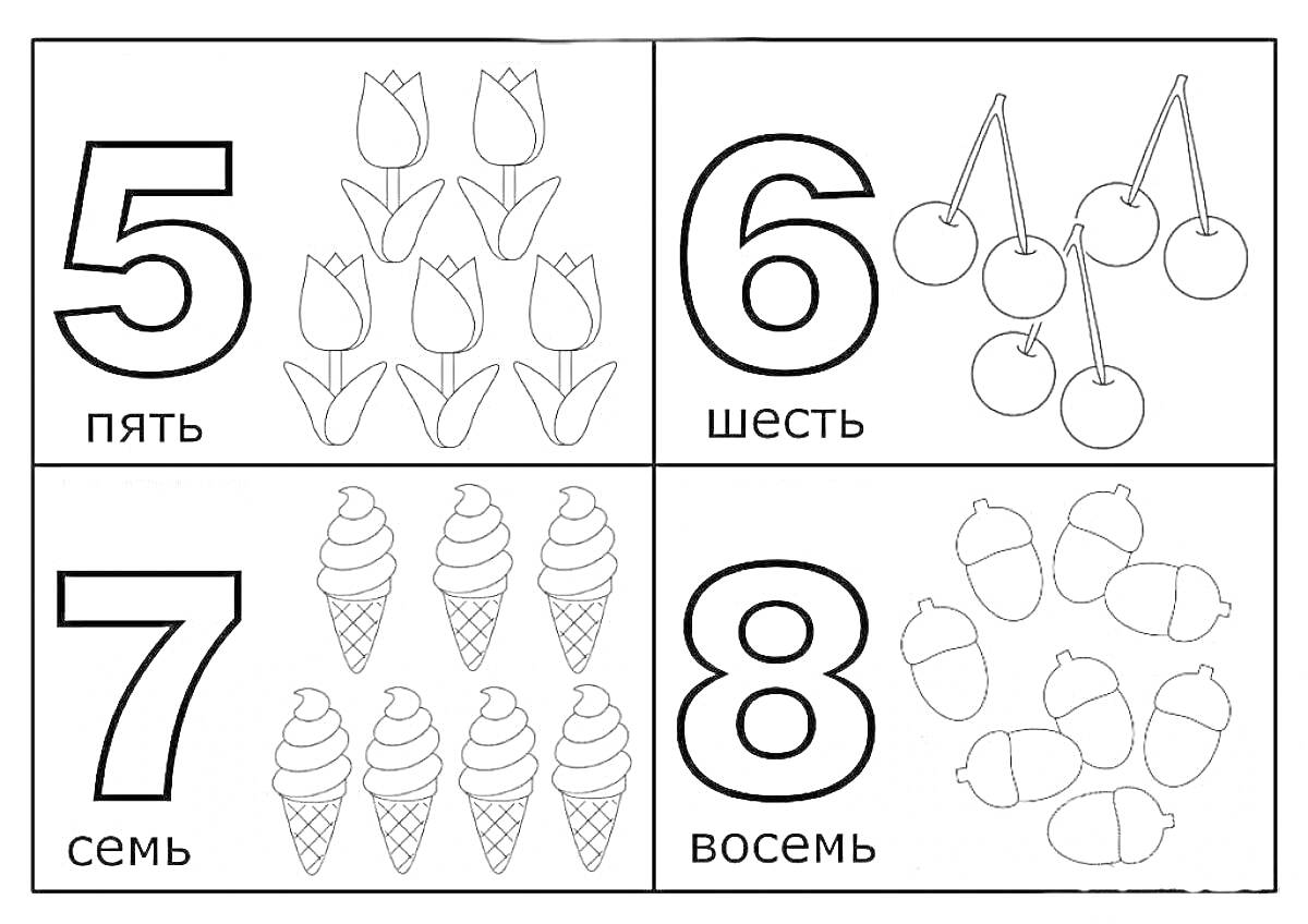 Раскраска Цифры от 5 до 8 с рисунками тюльпанов, вишен, мороженого и желудей