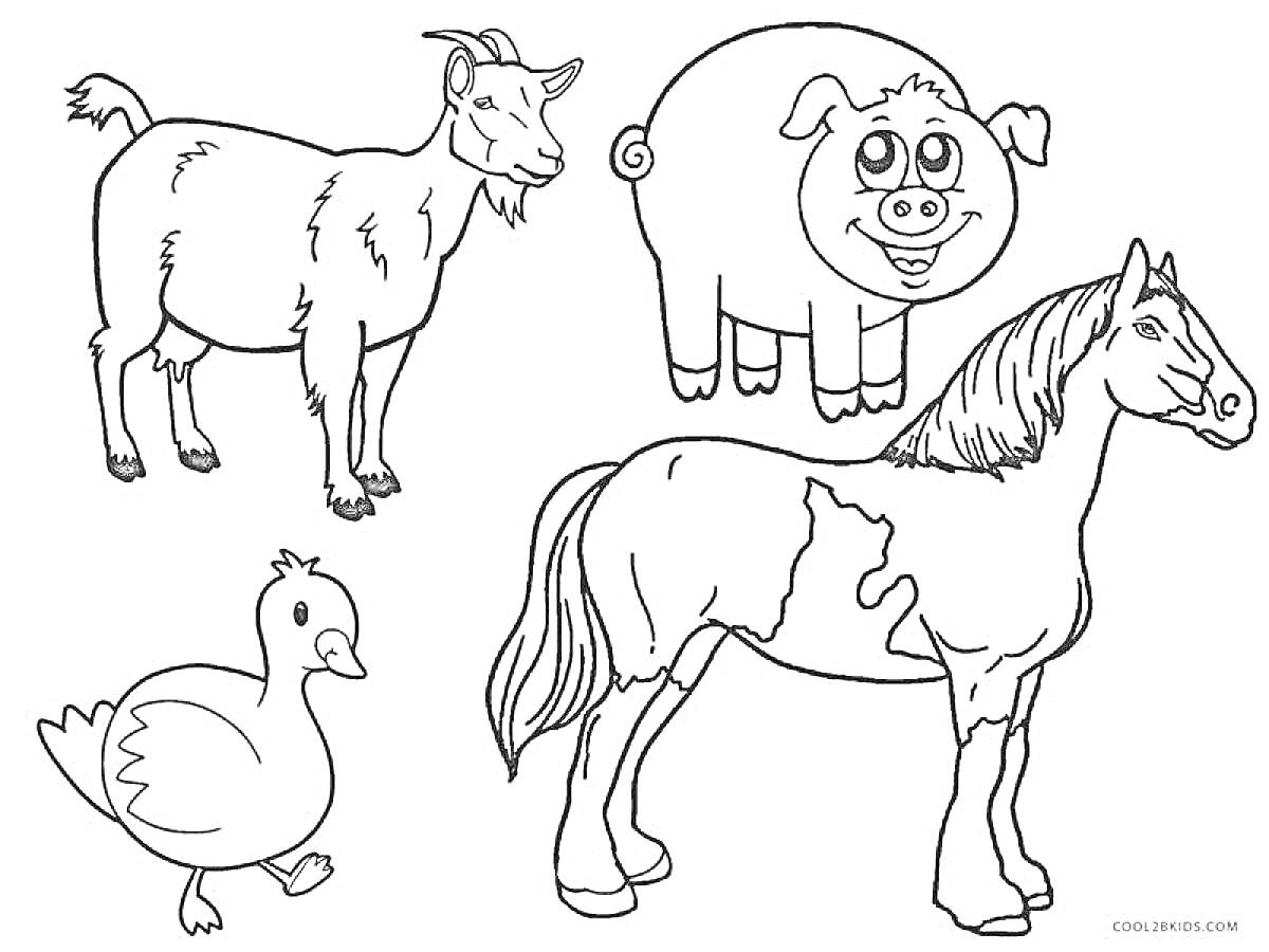 На раскраске изображено: Утка, Лошадь, Домашние животные, Ферма, Для детей, Животные, Козел, Свиньи