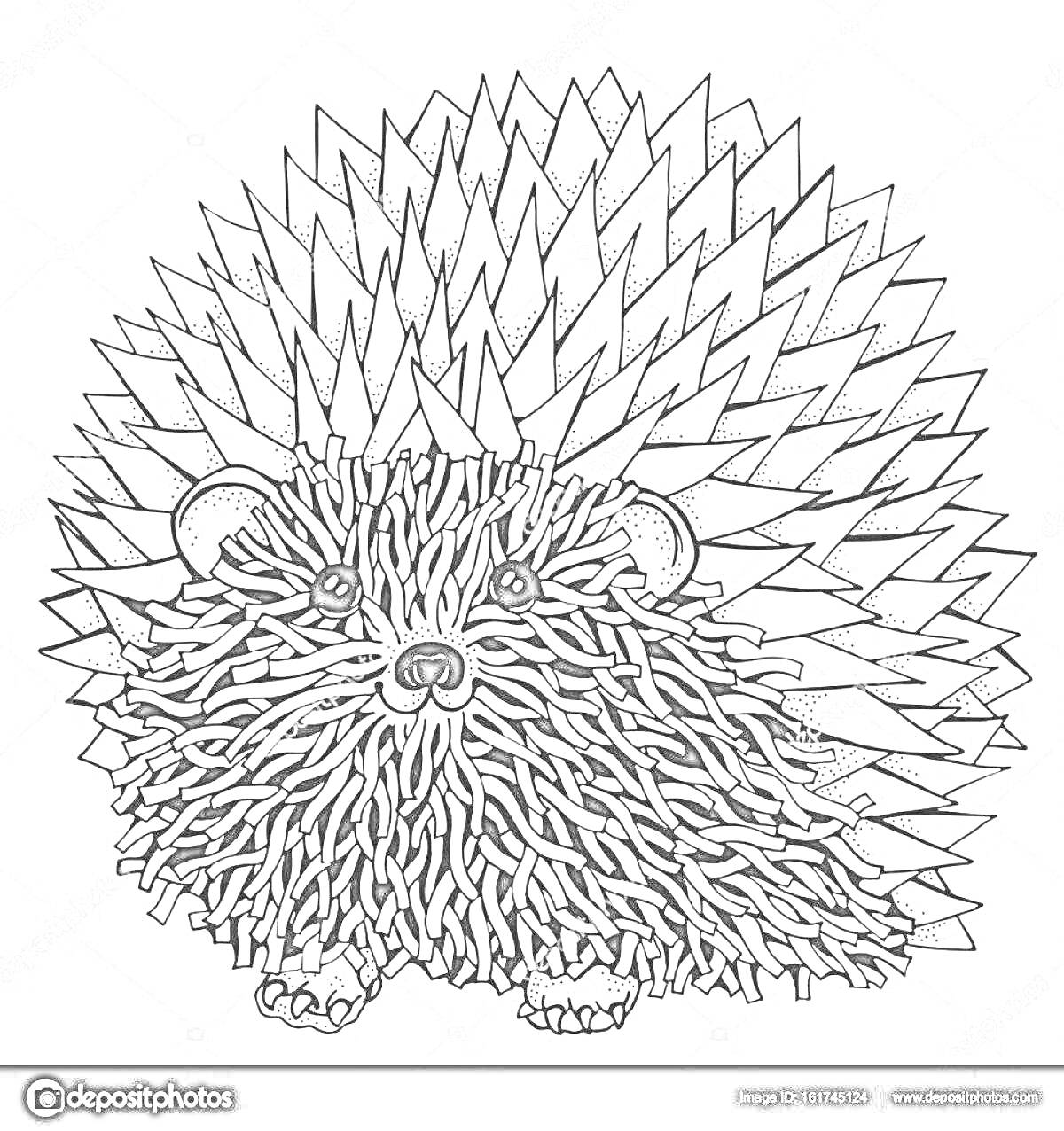 Раскраска Ежик антистресс с узорной шерстью и колючками