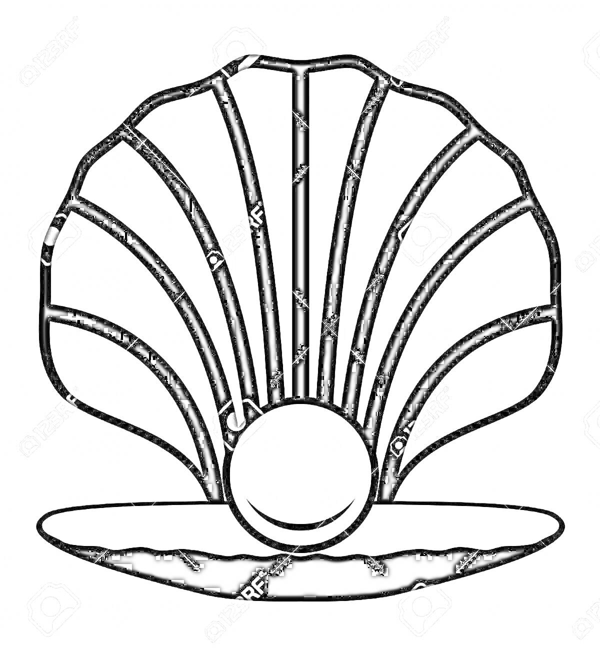 На раскраске изображено: Ракушка, Жемчужина, Море, Природа, Творчество