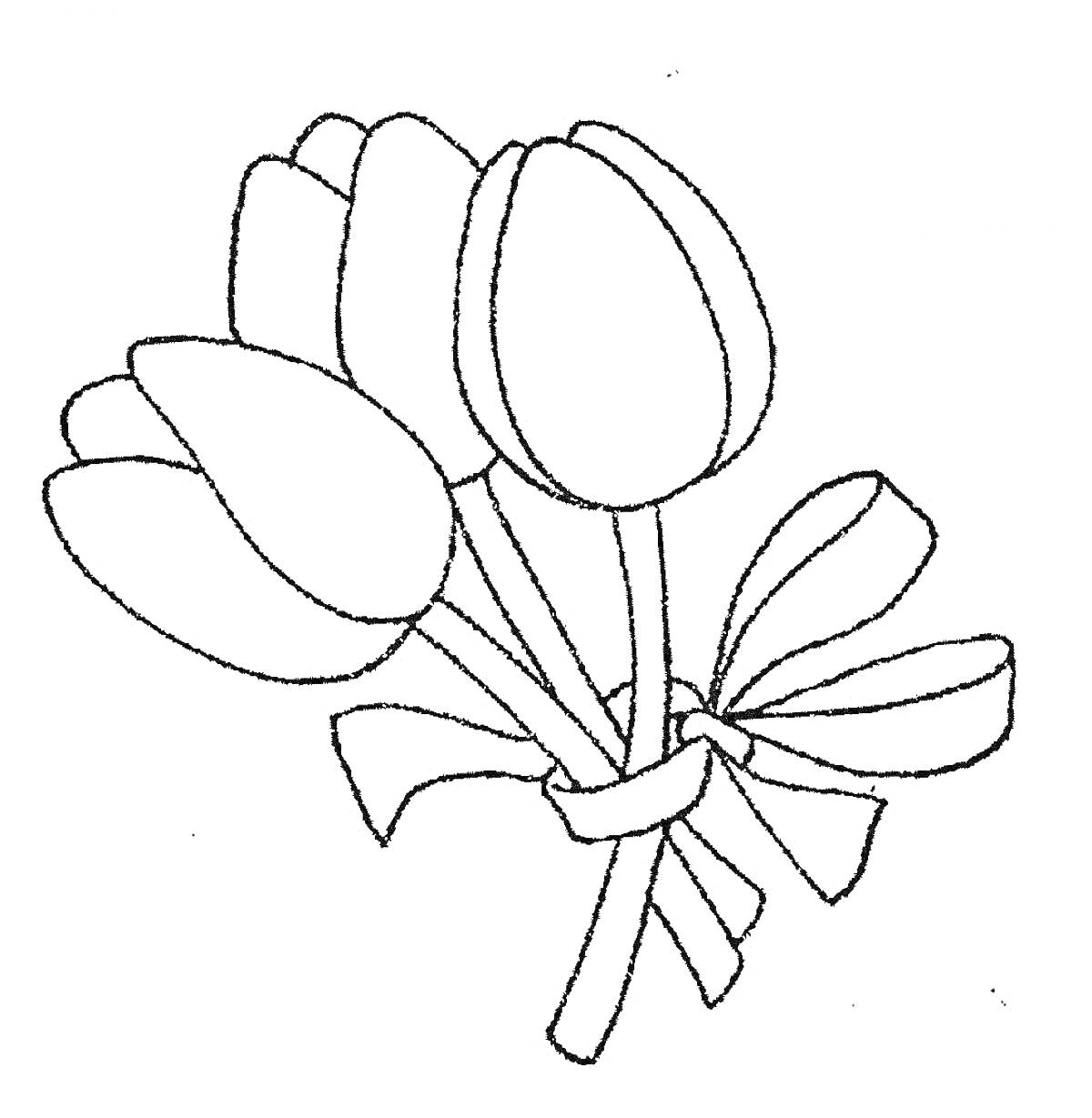 Раскраска Букет тюльпанов с бантом