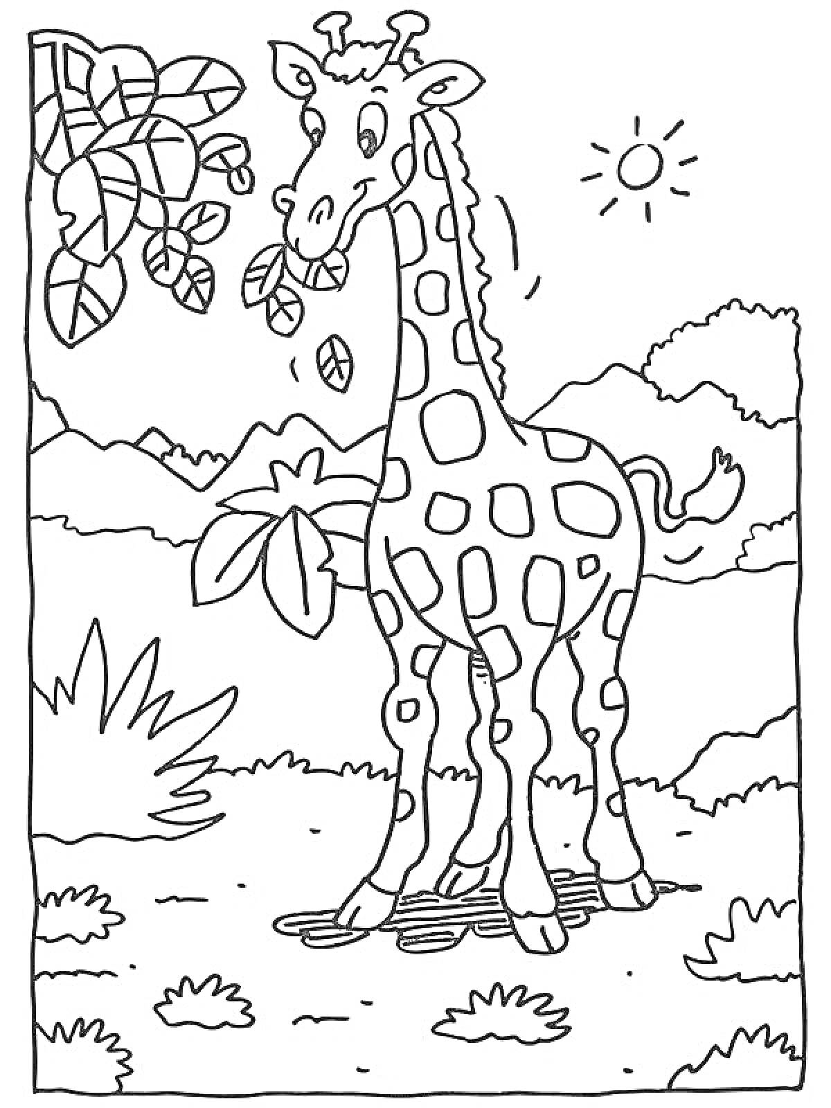 Раскраска Жираф на фоне природы, с веткой дерева и солнцем на небе