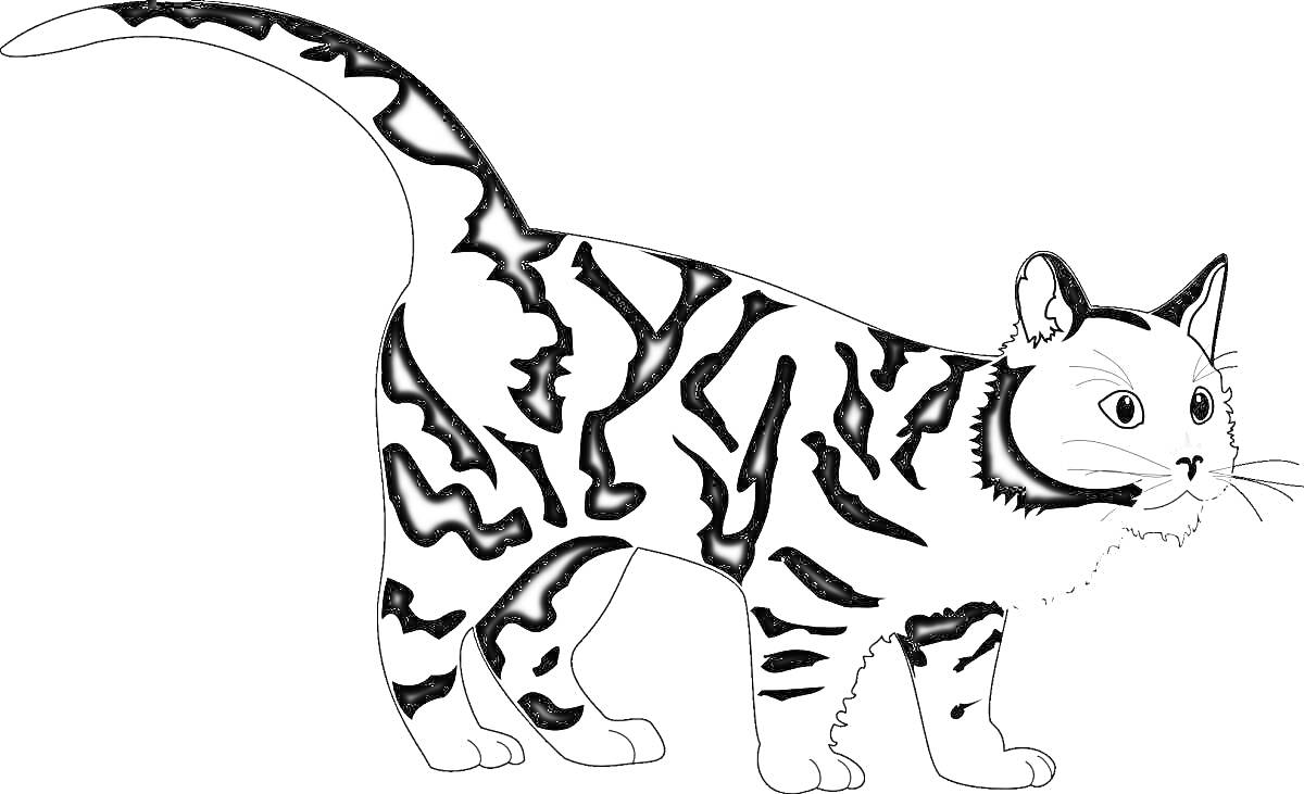 На раскраске изображено: Полосатый кот, Хвост вверх, Контурные рисунки