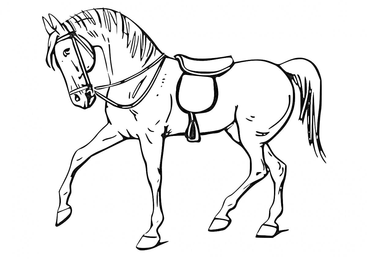 На раскраске изображено: Лошадь, Седло, Животные, Копыта, Грива, Контурные рисунки, Шаги