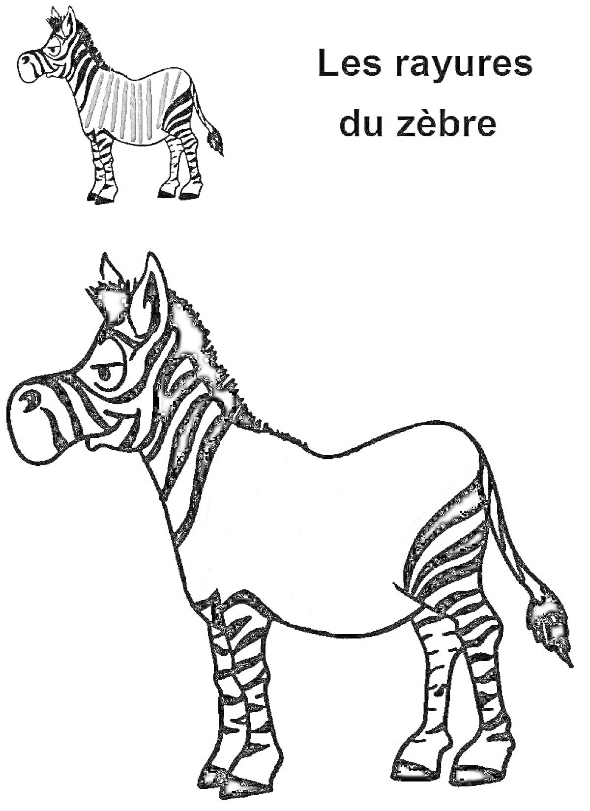 Раскраска Зебра без полосок, зебра с полосками, надпись 
