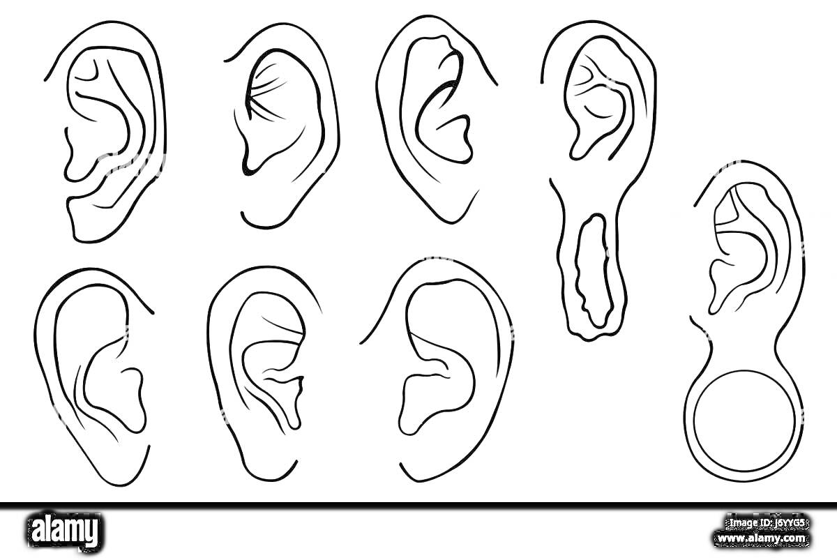 Раскраска Уши. Восемь вариантов уха для раскрашивания