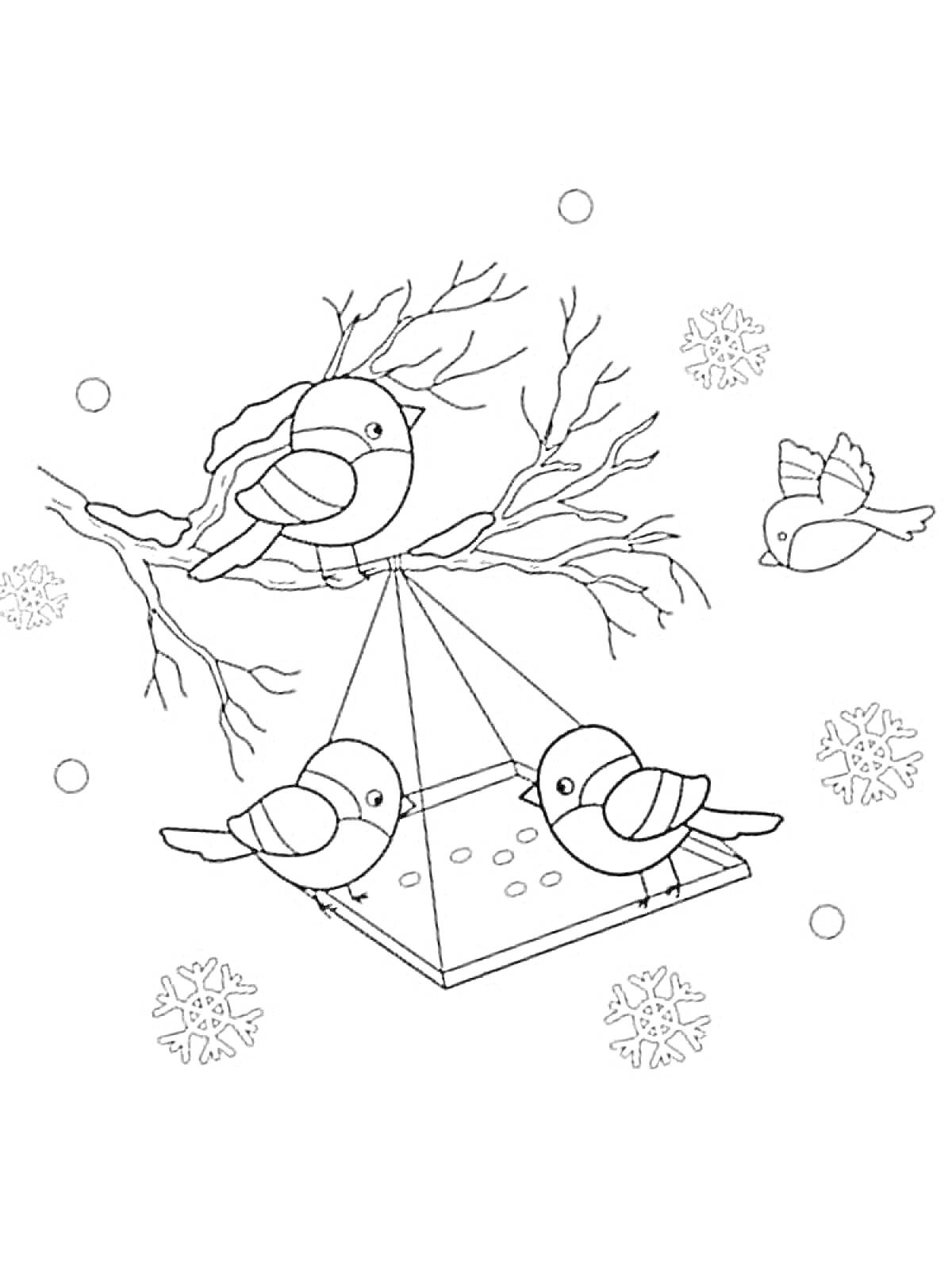 Раскраска Снегири на ветке с кормушкой и снежинками