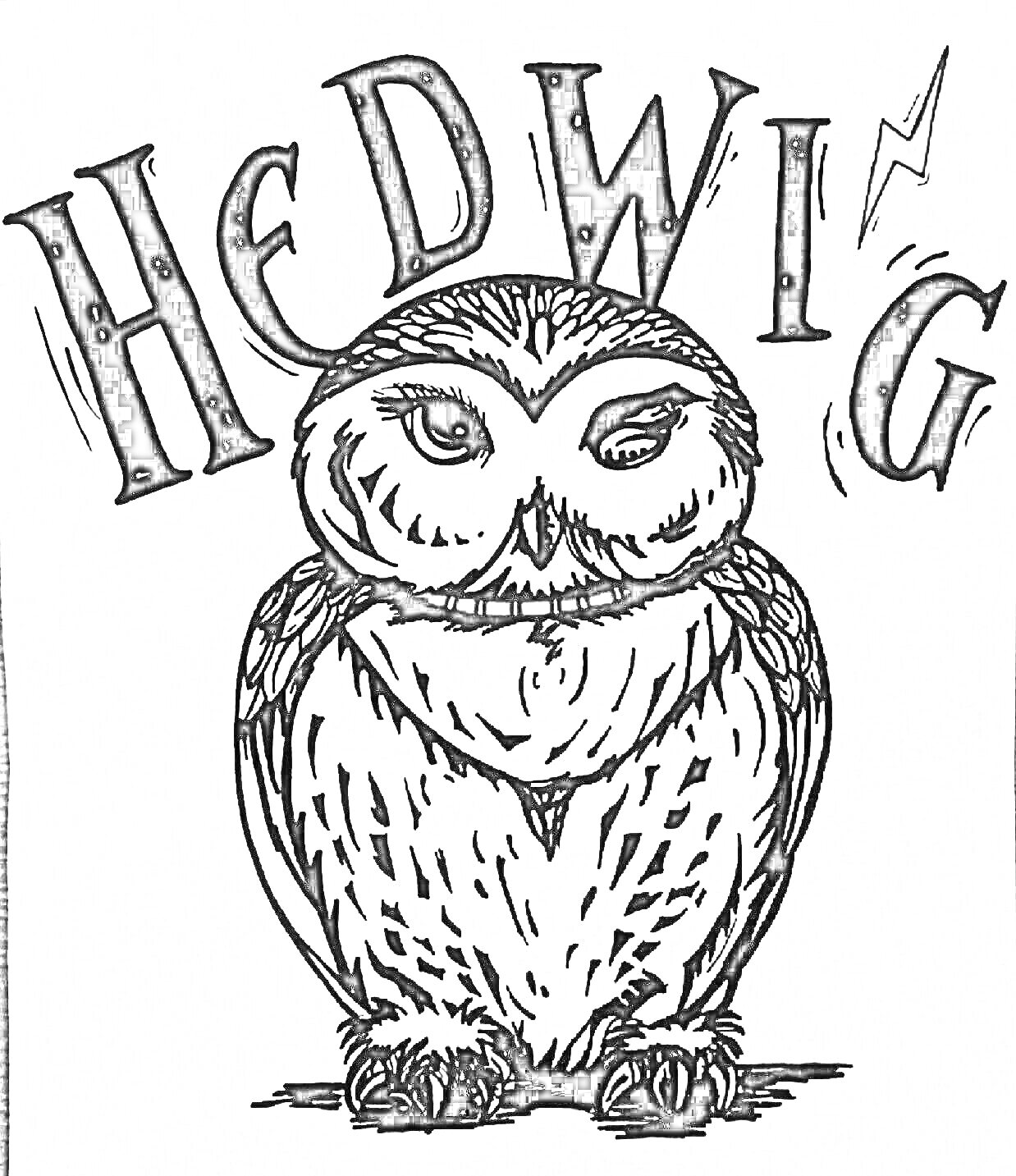 Раскраска Букля сова, надпись HEDWIG, молния