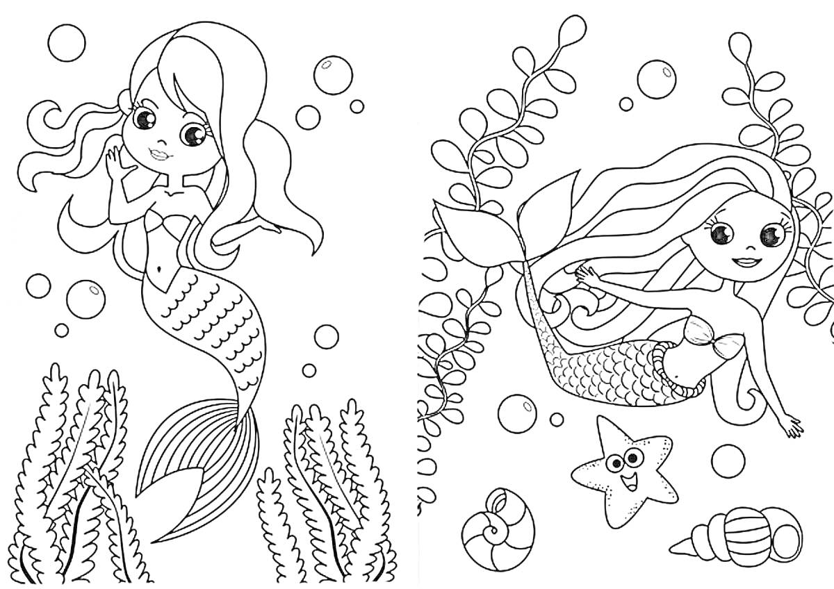 Раскраска Русалки с водорослями, пузырями, морской звездой и ракушками