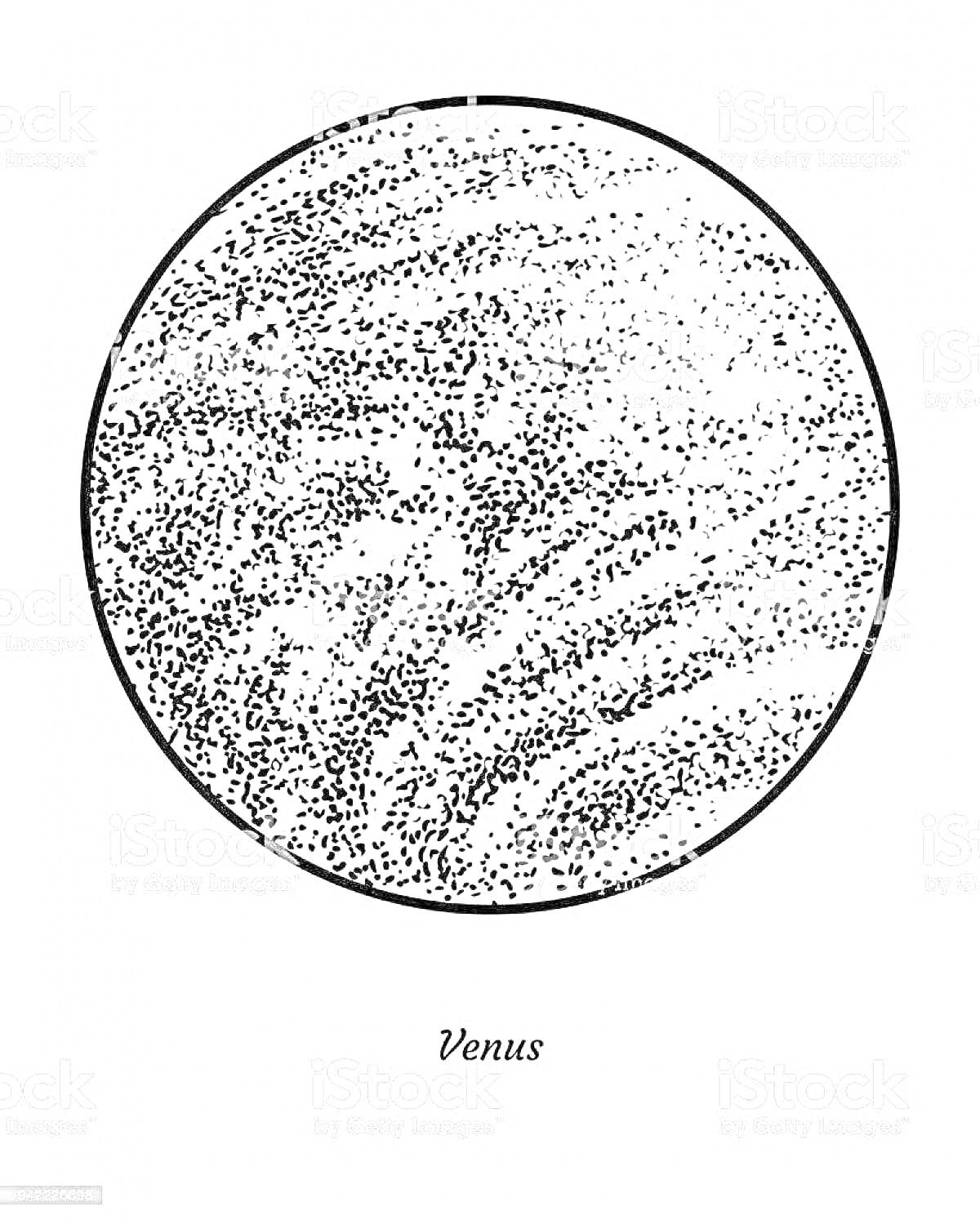 Раскраска Венера с детализированной поверхностью в виде узоров, изображенная в виде круга и надписью 