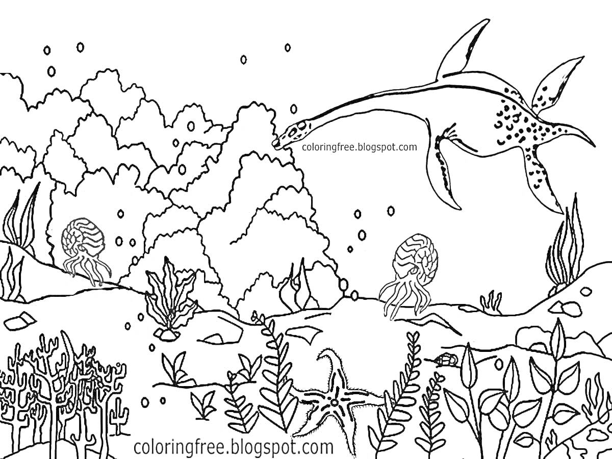 Раскраска Подводный мир с плезиозавром и морской флорой и фауной