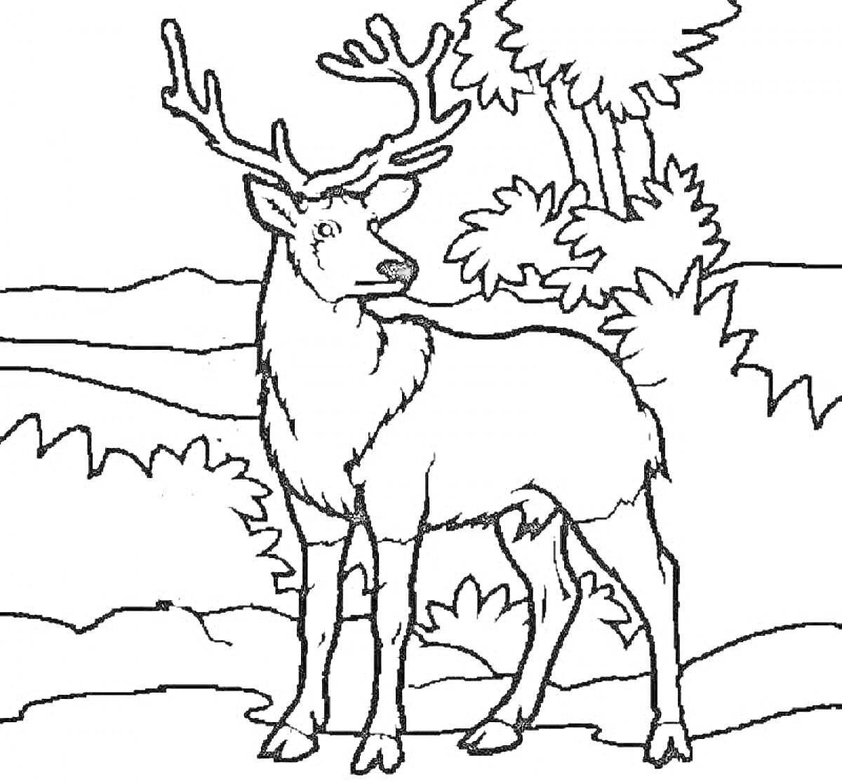 Раскраска северный олень на фоне пейзажа с деревьями и холмами
