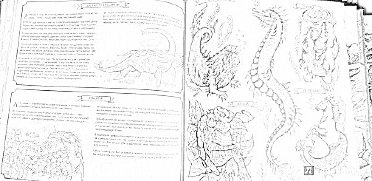 Раскраска Дракон, феникс, лев со змеёй, скорпион, мантикора, химера