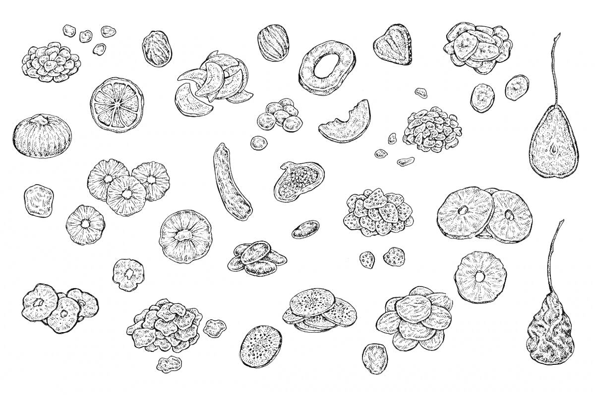 Раскраска Различные виды сухофруктов и ягод, включая изюм