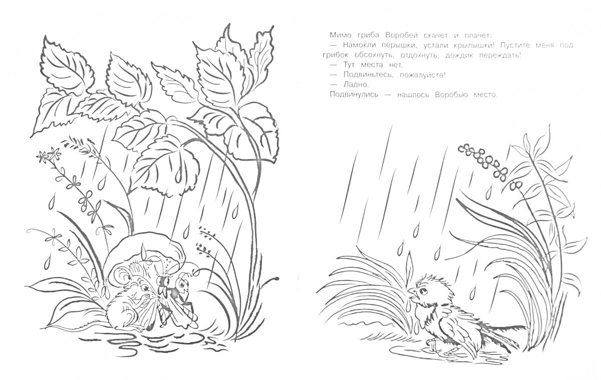 Раскраска сказка под грибом с муравьем, мухомором, бабочкой и мокрым воробьем под дождем
