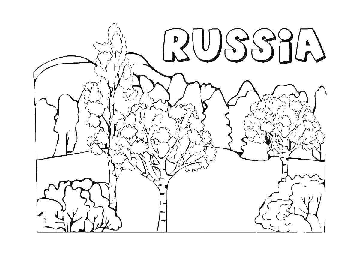 На раскраске изображено: Россия, Пейзаж, Деревья, Горы, Природа, Для детей, Дошкольники