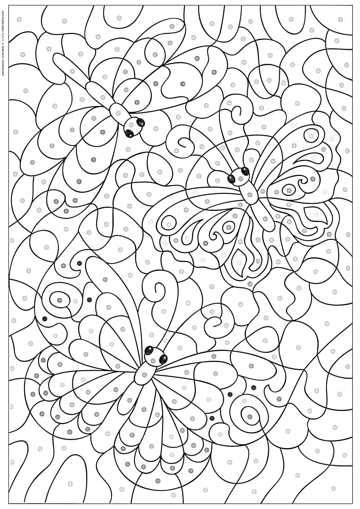 Раскраска Раскраска по цифрам с тремя бабочками и округлыми узорами