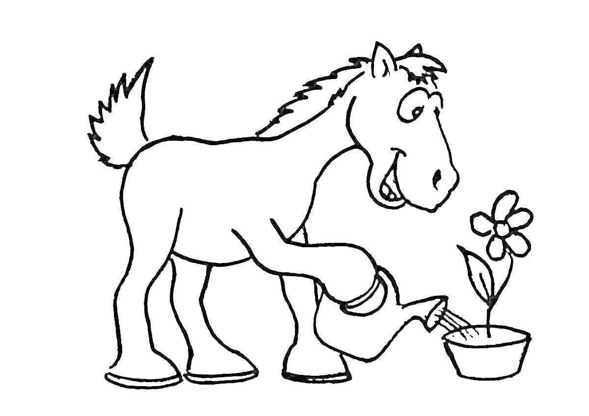 На раскраске изображено: Конь, Лейка, Животные, Природа, Садоводство, Цветы