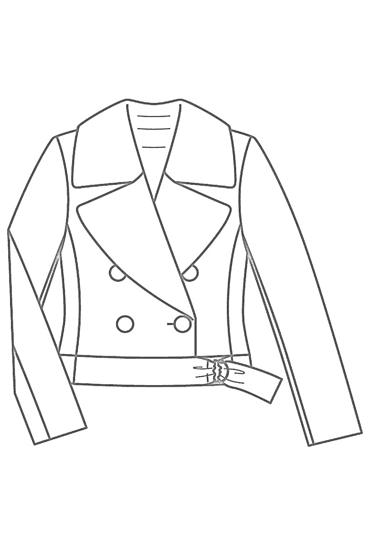 Раскраска Спортивный пиджак с поясом и пуговицами