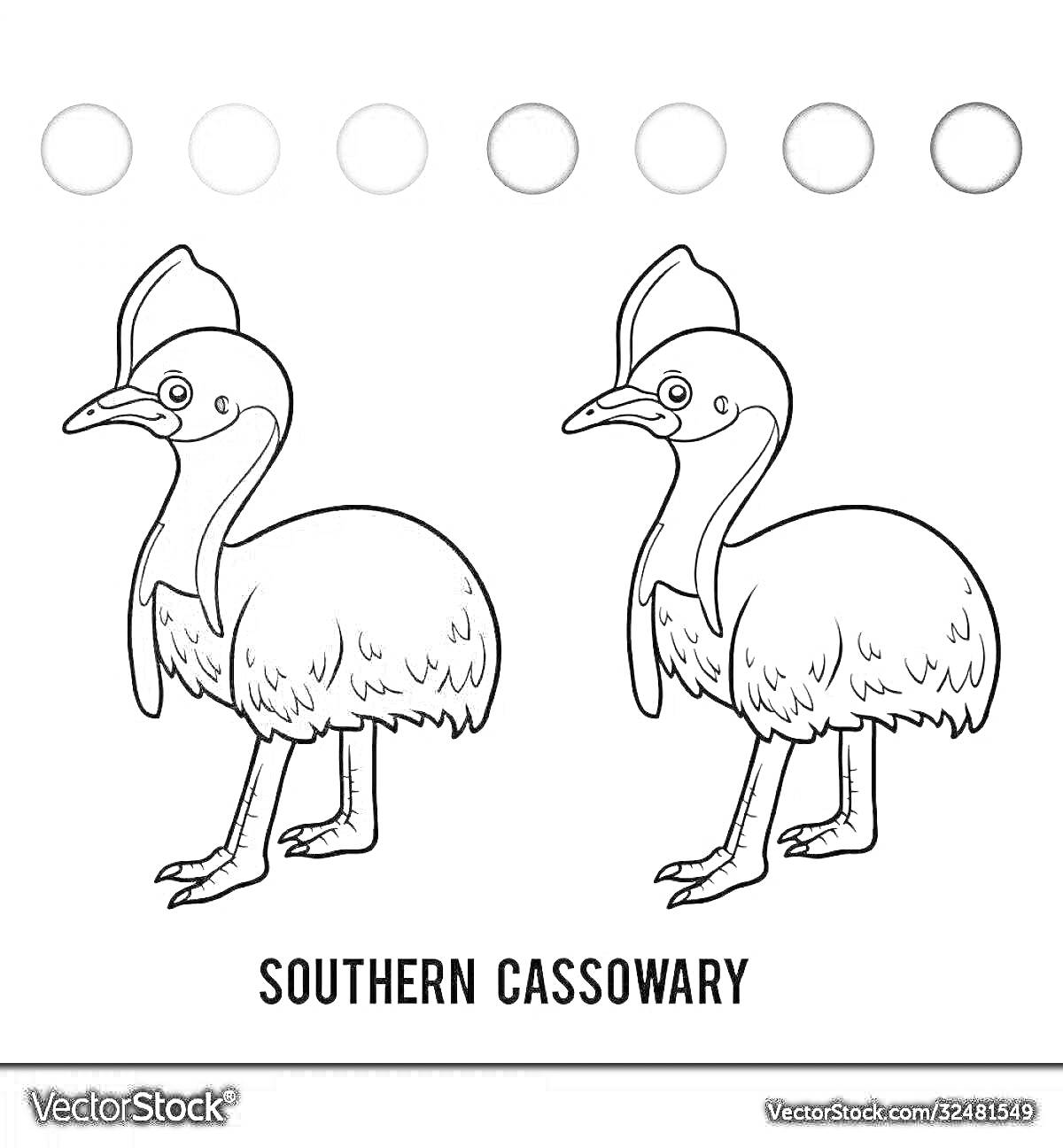 На раскраске изображено: Казуар, Для детей, Птица, Животные