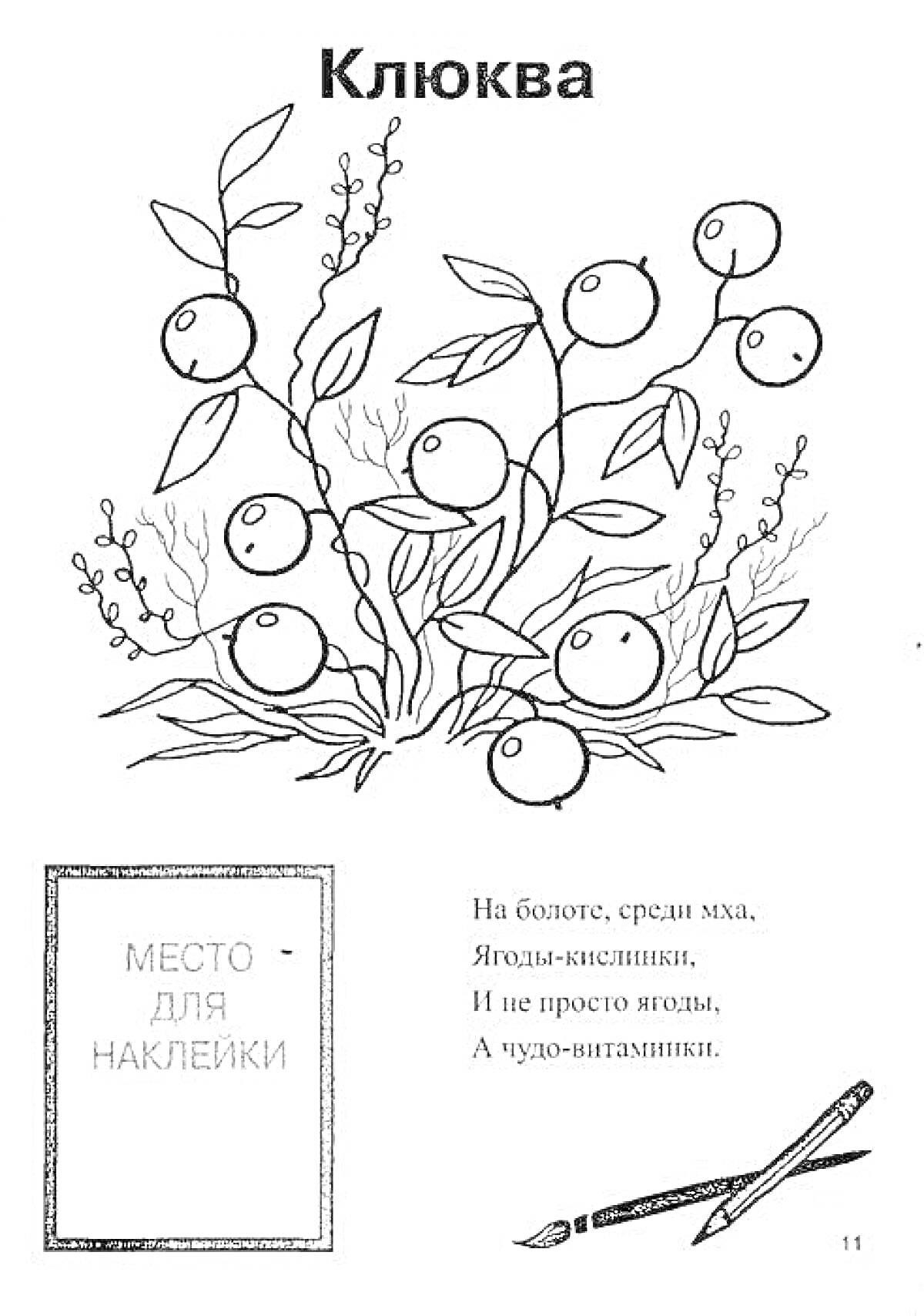 На раскраске изображено: Клюква, Ягоды, Листья, Болото, Стихотворение