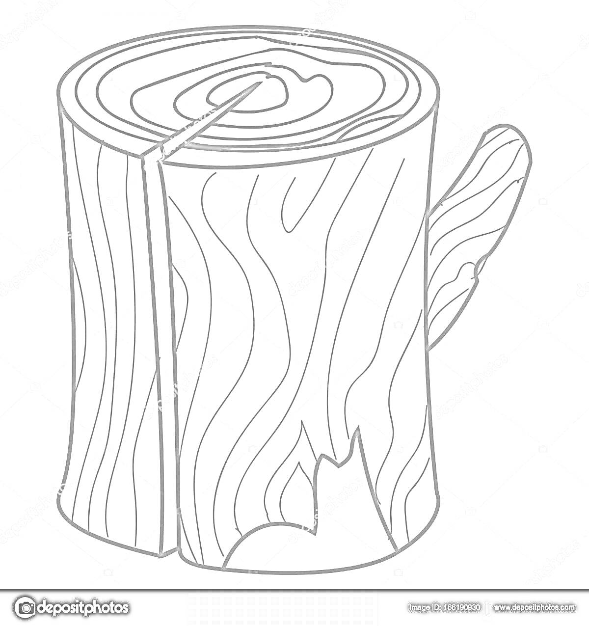 Раскраска Пенек с сучком, трещиной и древесными кольцами