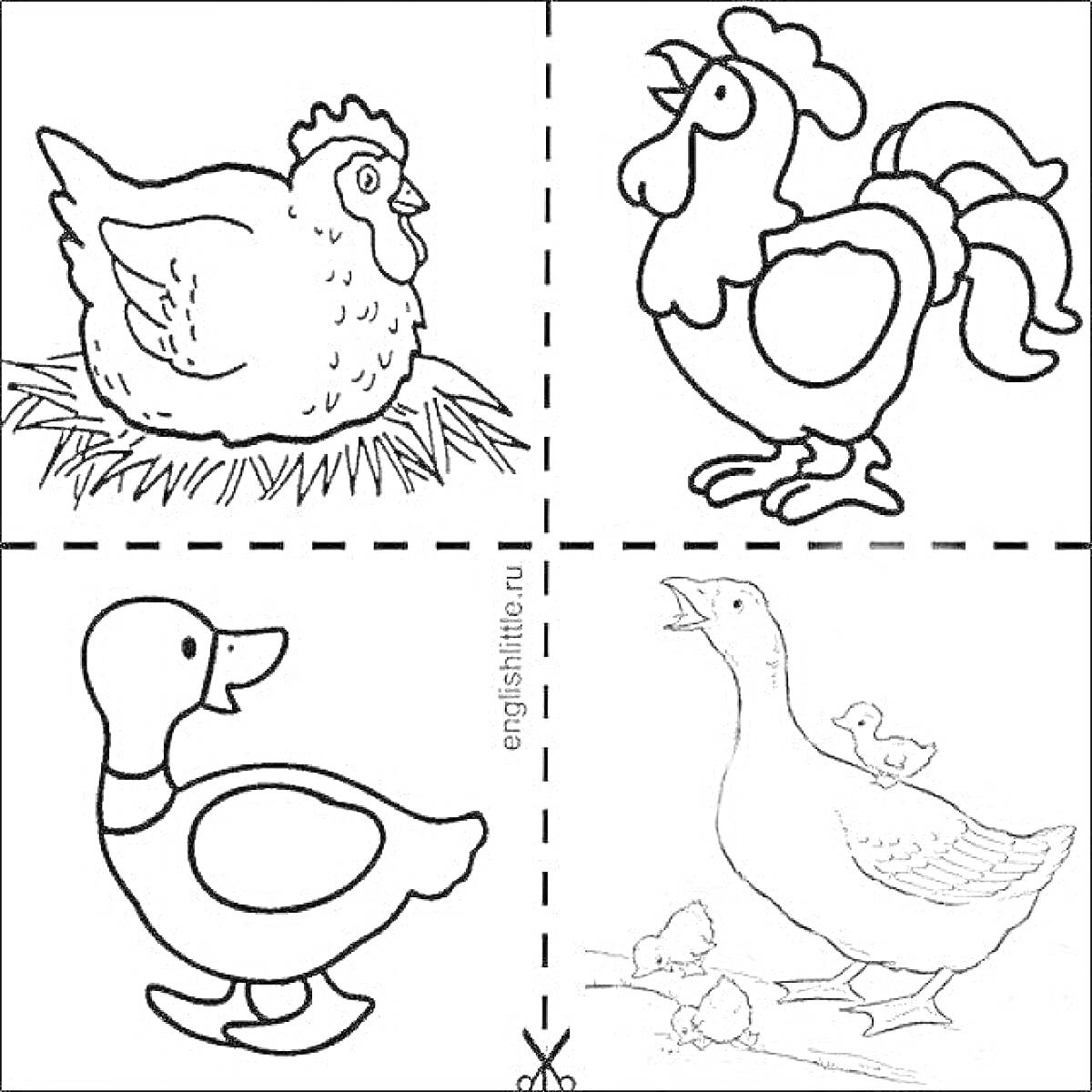 Раскраска Курица на траве, петух, утка и гусь с гусенком