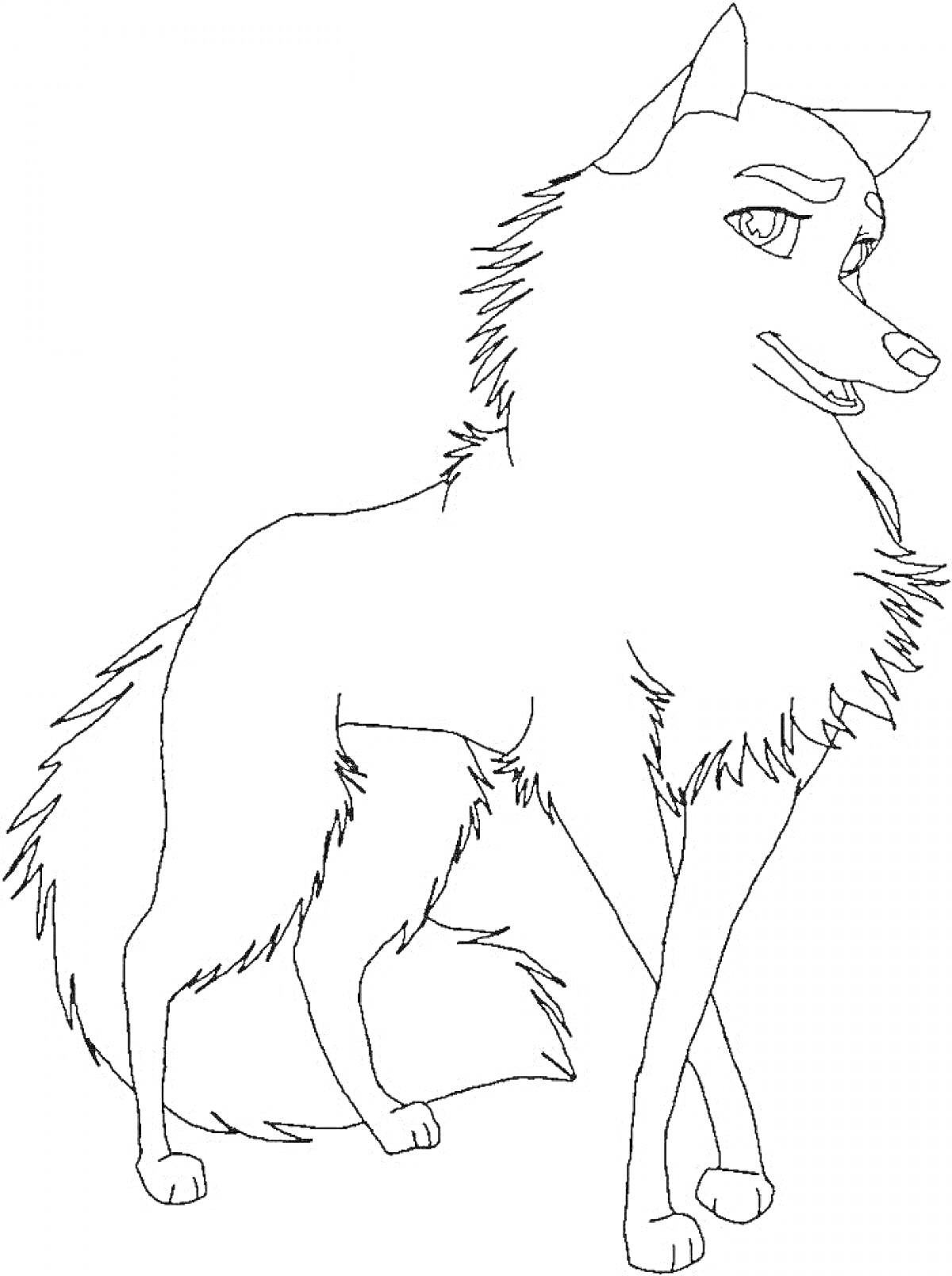 На раскраске изображено: Волчица, Животные, Пушистая шерсть, Волк