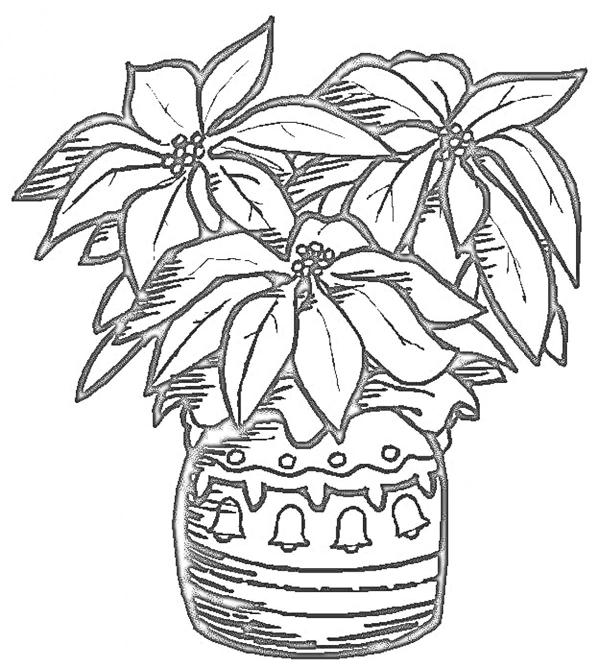На раскраске изображено: Комнатные растения, Листья, Цветы, Горшки, Узоры