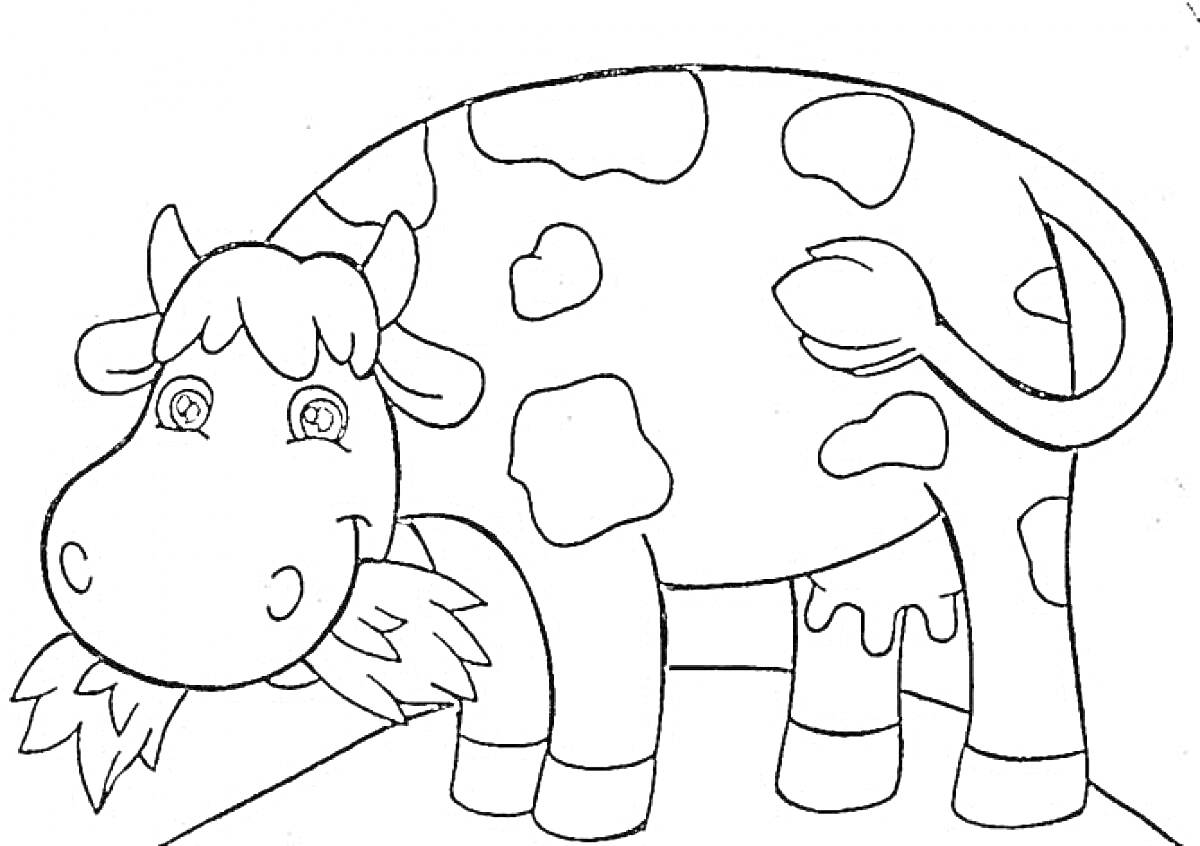 Раскраска Корова на пастбище, ест траву, крупные пятна, улыбается, фоновые детали отсутствуют.