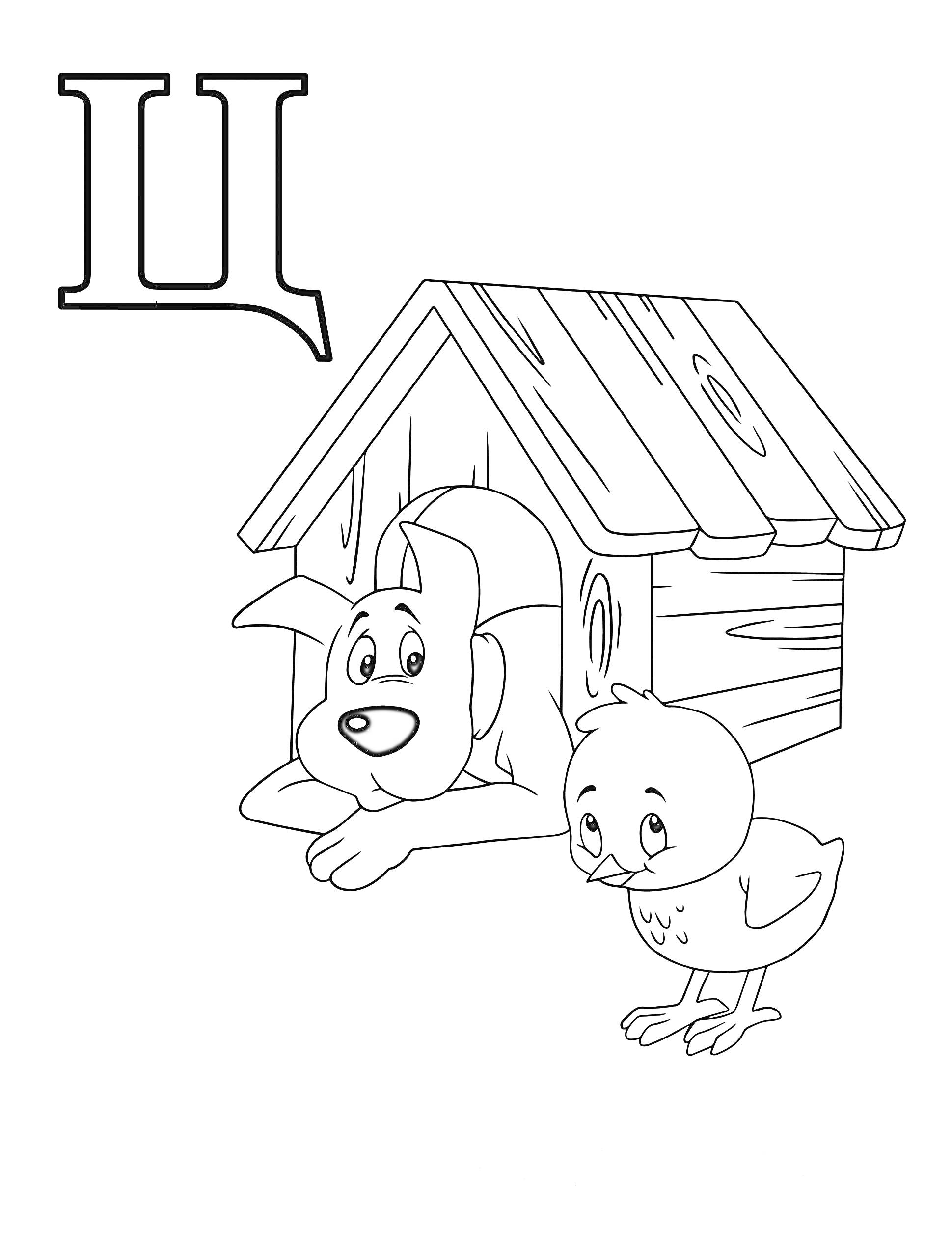 Раскраска Буква Ц с изображением собаки у будки и цыпленка