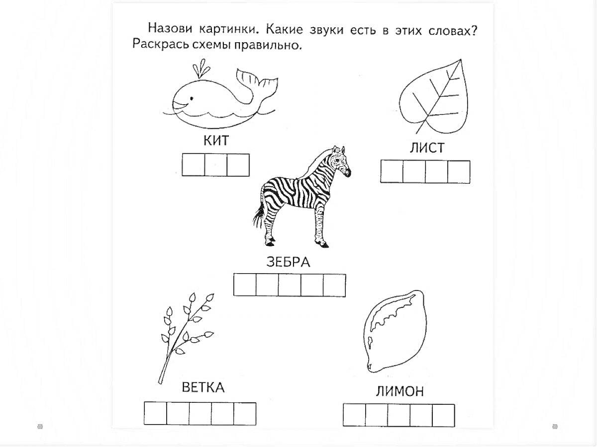 Раскраска Картинка с животными и растениями с подписями: кит, лист, зебра, ветка, лимон. Каждый элемент содержит схему слова.