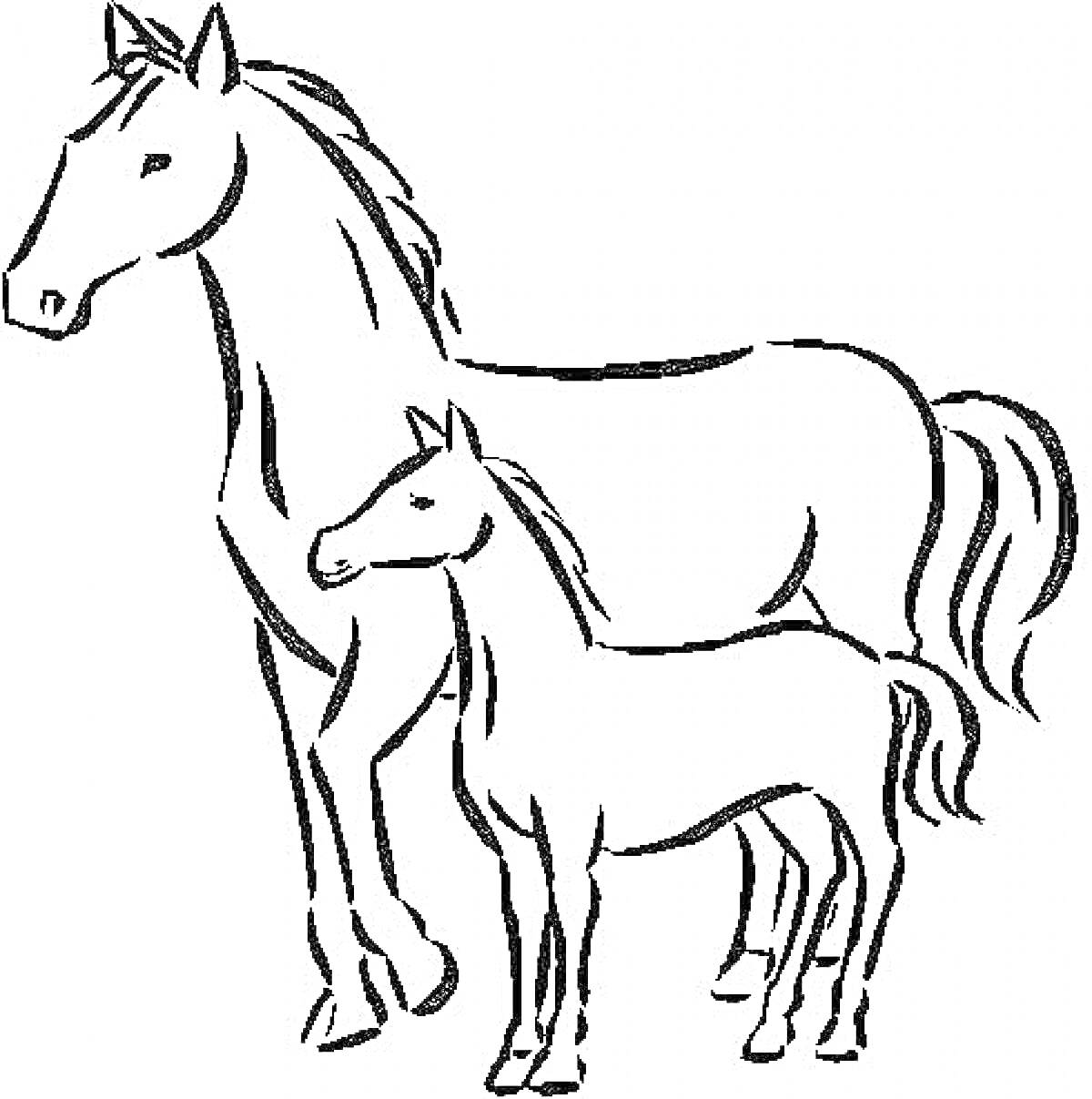 На раскраске изображено: Лошадь, Жеребёнок, Для девочек, Контурные рисунки, Животные