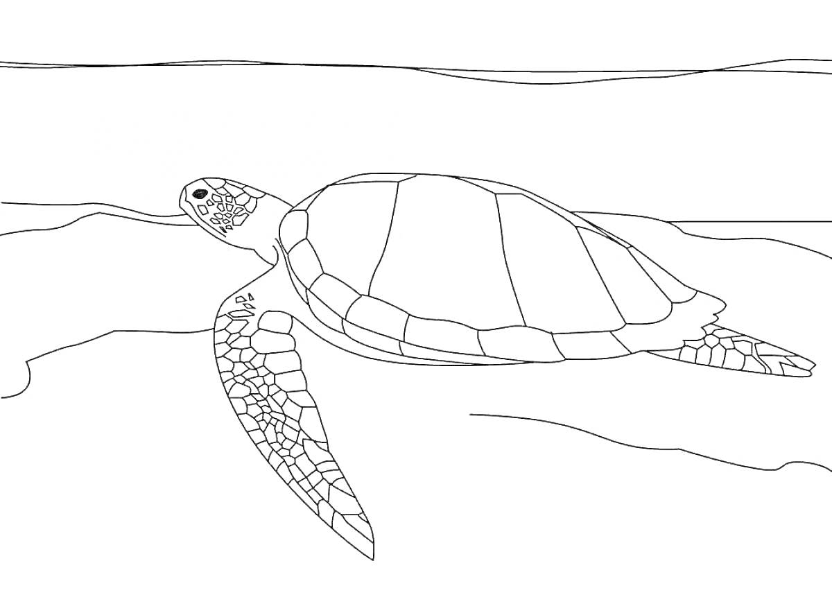 Раскраска Морская черепаха в океане с волнами