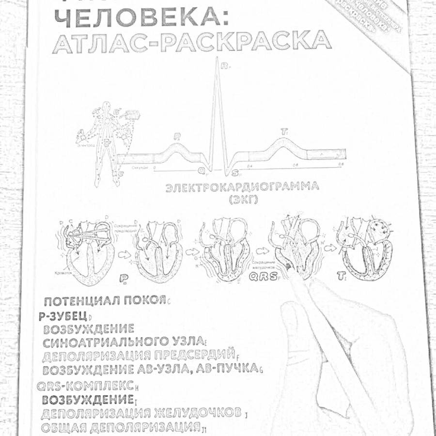 Раскраски атлас: 121 раскраска - скачать или распечатать бесплатно