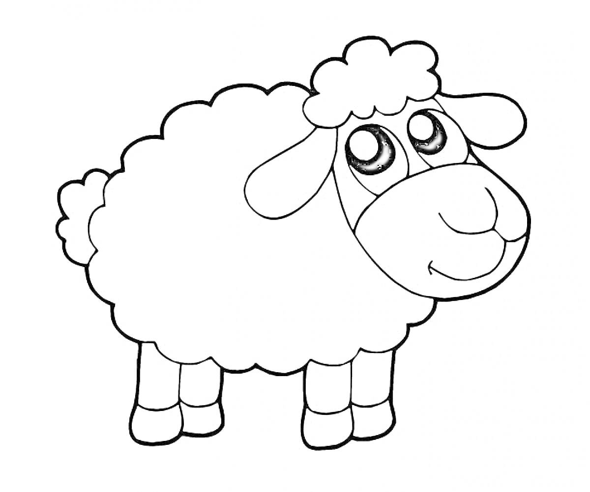 Раскраска Овца с большими глазами и пухлой шерстью