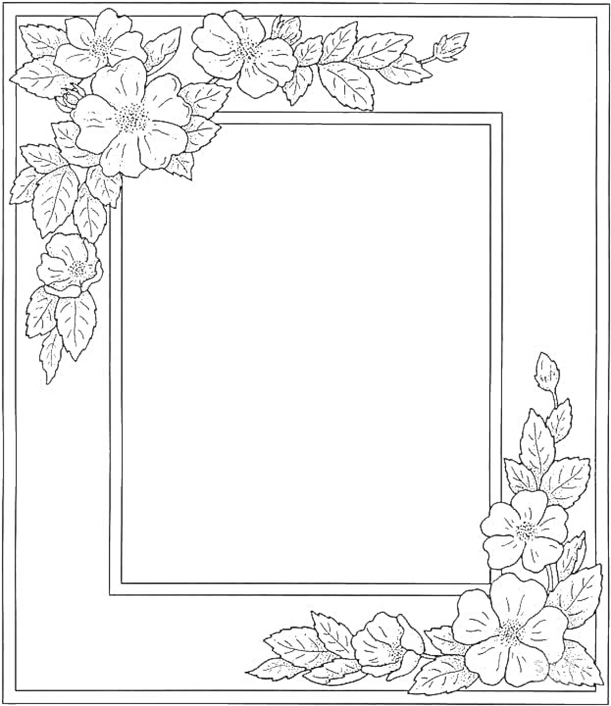 На раскраске изображено: Цветы, Листья, Фото, Рамки, Узоры