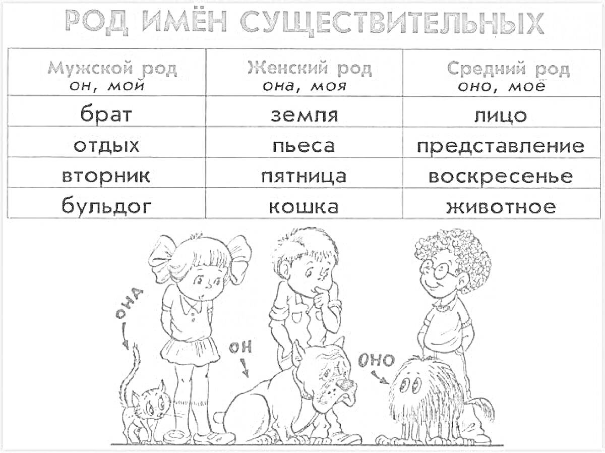 Раскраска Разделение родов имен существительных в русском языке для 3 класса. Таблица с примерами и иллюстрации детей и животных.