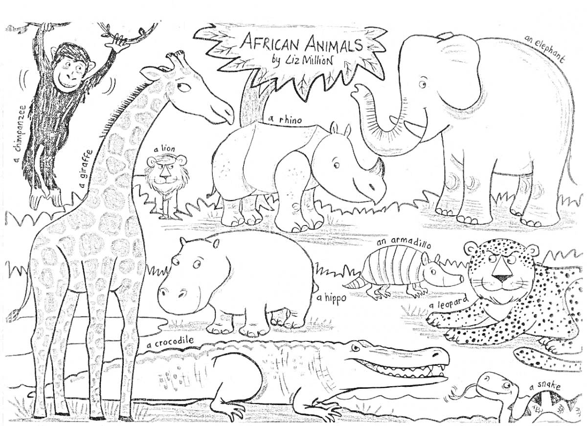 На раскраске изображено: Бегемот, Лев, Носорог, Слон, Крокодил, Леопард, Природа, Жирафы, Зебры, Обезьяны
