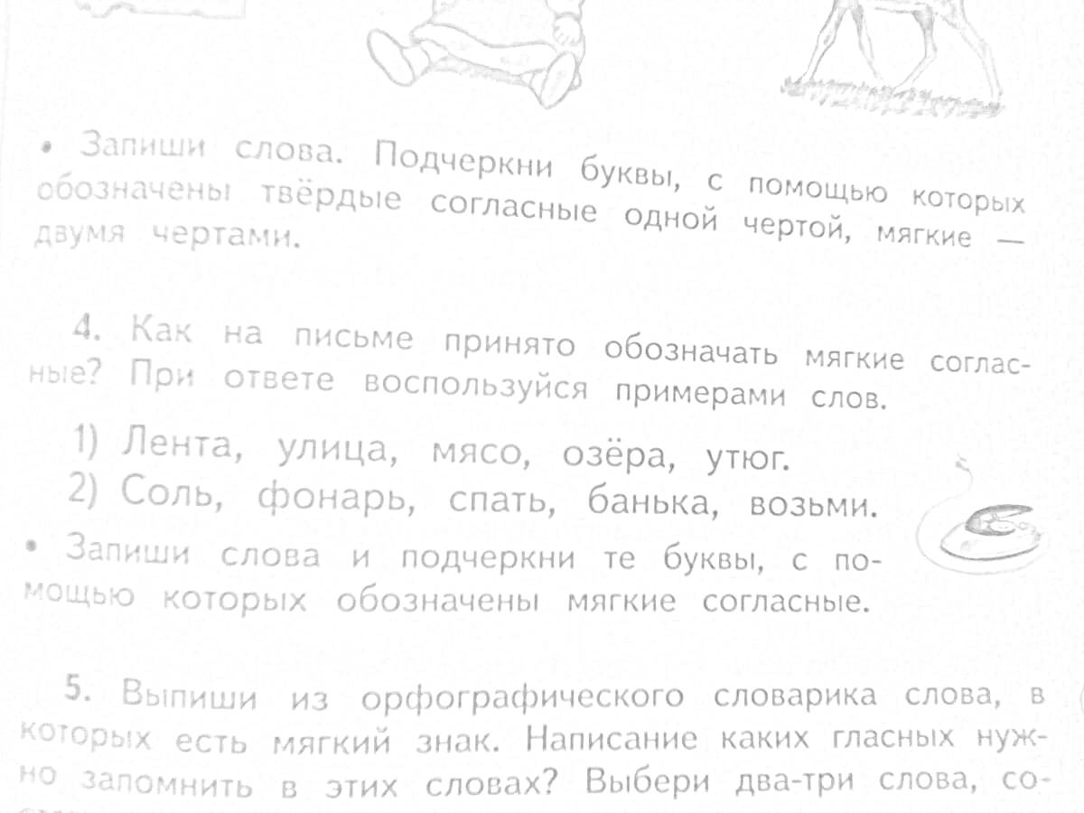 Раскраска Задание по русскому языку - Обозначение мягких согласных в словах, Соль, фонарь, спать, банька, возьми