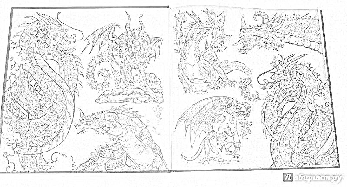 Раскраска Книга фантастических существ с драконами и грифоном на фоне гор и облаков