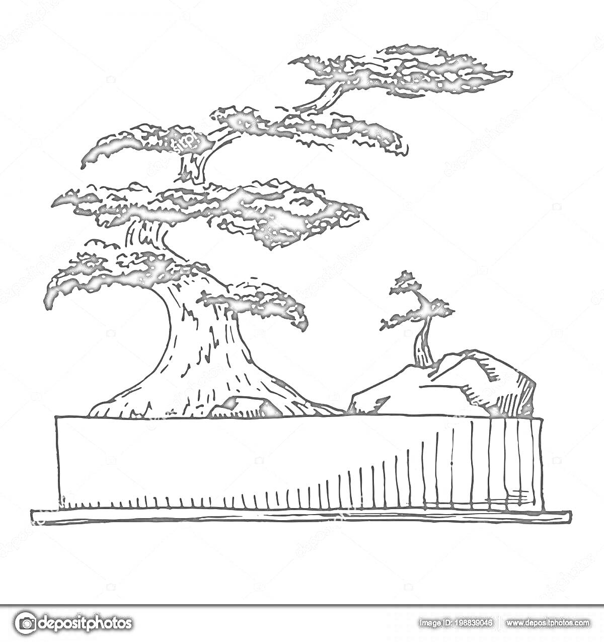 Раскраска два дерева бонсай в прямоугольном контейнере на фоне скалы