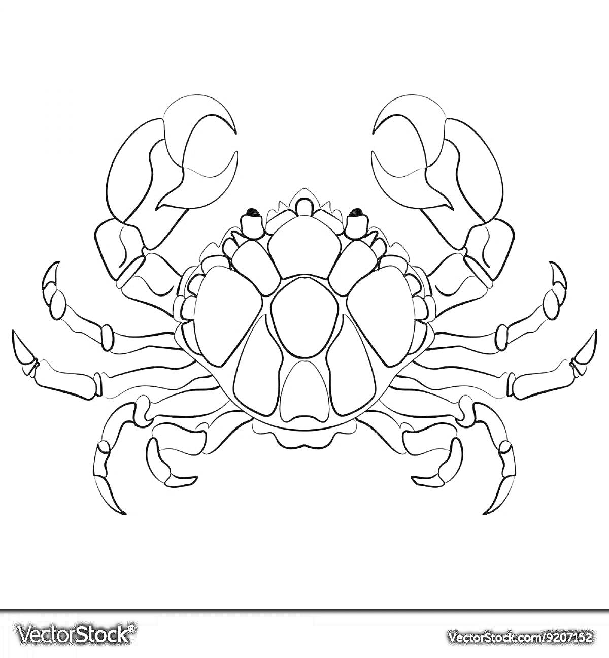 Раскраска Знак зодиака Рак - изображение краба с большими клешнями и шестью ногами.