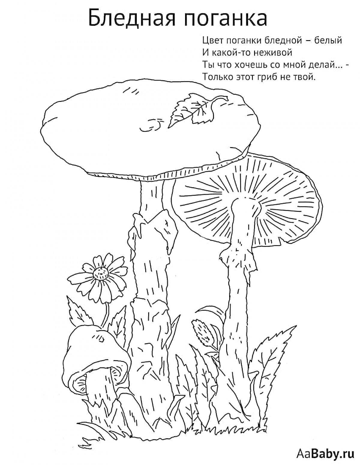 Раскраска Бледная поганка, два крупных гриба, один маленький гриб, цветок, трава